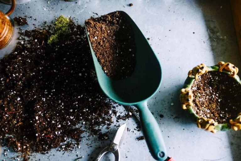 Indoor Plant Soil